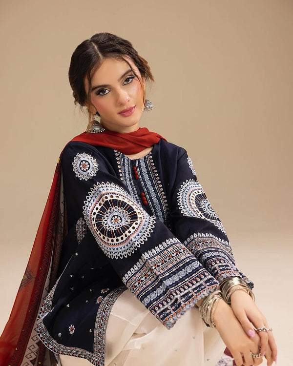 RANGRAIZ Embroidered 3PC Abeeha Collection